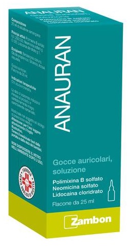 ANAURAN*GTT AURIC FL 25ML - Farmacia Artemisia di Montecuollo Dott. Angelo snc