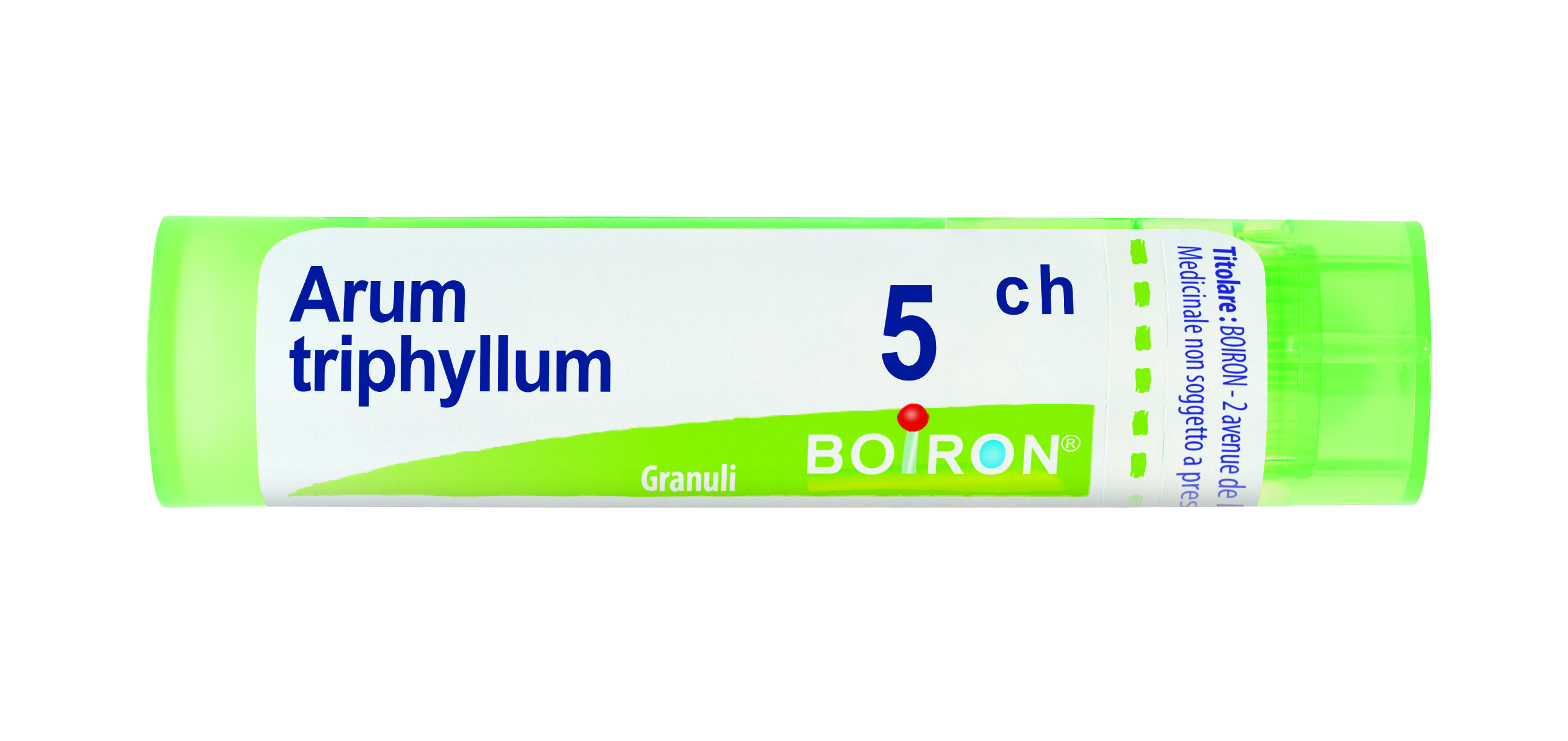 ARUM TRIPHYL BOI*5CH GR 4G - Farmacia Artemisia di Montecuollo Dott. Angelo snc