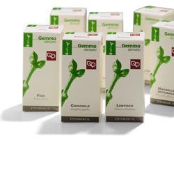AGNOCASTO MACERATO GLICERICO 50 ML - Farmacia Artemisia di Montecuollo Dott. Angelo snc