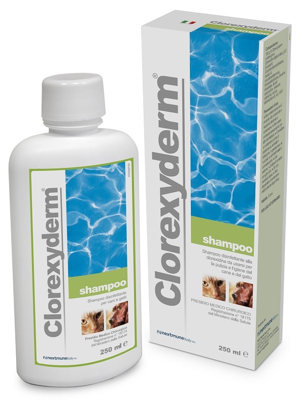 CLOREXYDERM SHAMPOO 250 ML - Farmacia Artemisia di Montecuollo Dott. Angelo snc