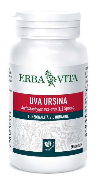 UVA URSINA 60 CAPSULE - Farmacia Artemisia di Montecuollo Dott. Angelo snc