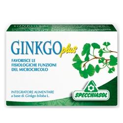 GINKGO PLUS 30 CAPSULE - Farmacia Artemisia di Montecuollo Dott. Angelo snc
