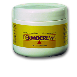 DERMOCREMA 250 ML - Farmacia Artemisia di Montecuollo Dott. Angelo snc