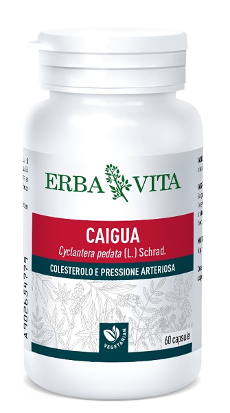 CAIGUA 60 CAPSULE 400 MG - Farmacia Artemisia di Montecuollo Dott. Angelo snc