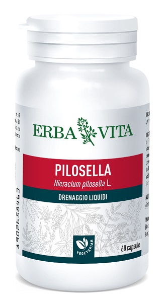 PILOSELLA 60 CAPSULE 400 MG - Farmacia Artemisia di Montecuollo Dott. Angelo snc