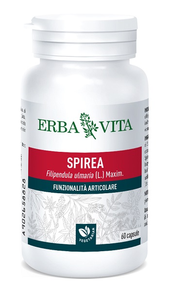 SPIREA ULMARIA 60 CAPSULE 400 MG - Farmacia Artemisia di Montecuollo Dott. Angelo snc