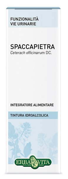 SPACCAPIETRA TINTURA IDROALCOLICA 50 ML EBV - Farmacia Artemisia di Montecuollo Dott. Angelo snc