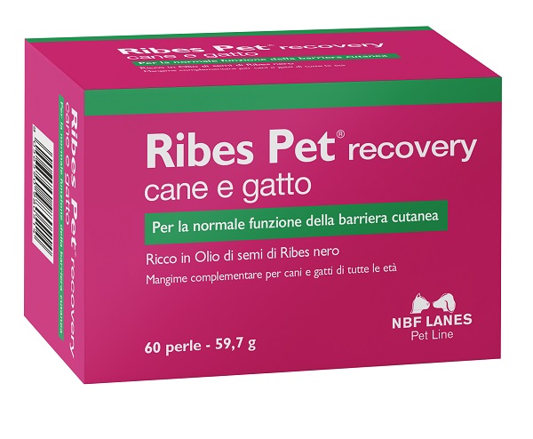 RIBES PET RECOVERY BLISTER 60 PERLE - Farmacia Artemisia di Montecuollo Dott. Angelo snc