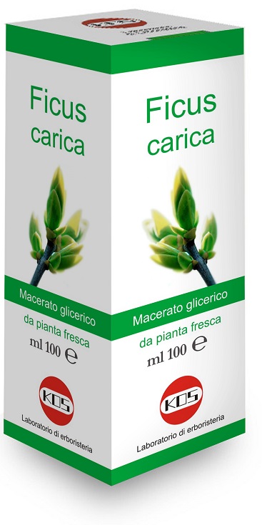 FICUS CARICA MACERATO GLICERICO 100 ML - Farmacia Artemisia di Montecuollo Dott. Angelo snc