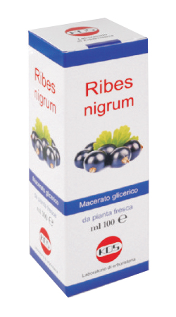 RIBES NIGRUM MACERATO GLICERICO 100 ML GOCCE - Farmacia Artemisia di Montecuollo Dott. Angelo snc