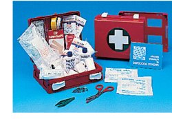 CASSETTA PRONTO SOCCORSO FAMILY PER CAMPEGGIO, BRICOLAGE, CASA E UFFICIO. CONTENITORE IN ABS ANTIURTO CON SUPPORTO PER IL FISSAGGIO ALLA PARETE - Farmacia Artemisia di Montecuollo Dott. Angelo snc