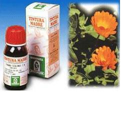 CALENDULA OFF 5 50ML TM - Farmacia Artemisia di Montecuollo Dott. Angelo snc