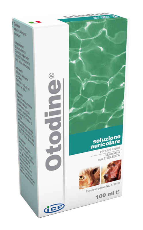 OTODINE DETERGENTE LIQUIDO 50 ML - Farmacia Artemisia di Montecuollo Dott. Angelo snc