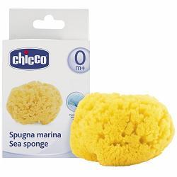CHICCO SPUGNA MARE PICCOLA - Farmacia Artemisia di Montecuollo Dott. Angelo snc