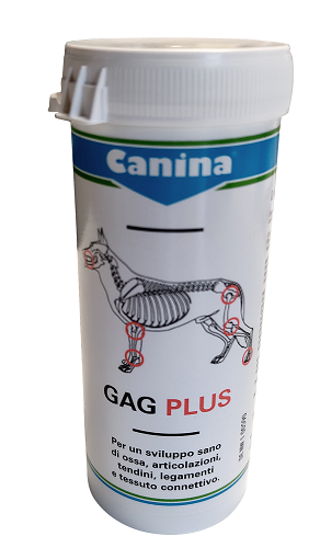 GAG PLUS 200 G 120 TAVOLETTE - Farmacia Artemisia di Montecuollo Dott. Angelo snc