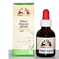 FITOBLASTO RIBES NIGRUM 50 ML - Farmacia Artemisia di Montecuollo Dott. Angelo snc