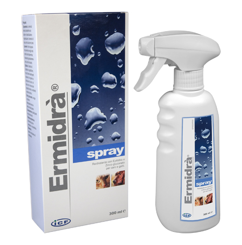 ERMIDRA' SPRAY 300 ML - Farmacia Artemisia di Montecuollo Dott. Angelo snc