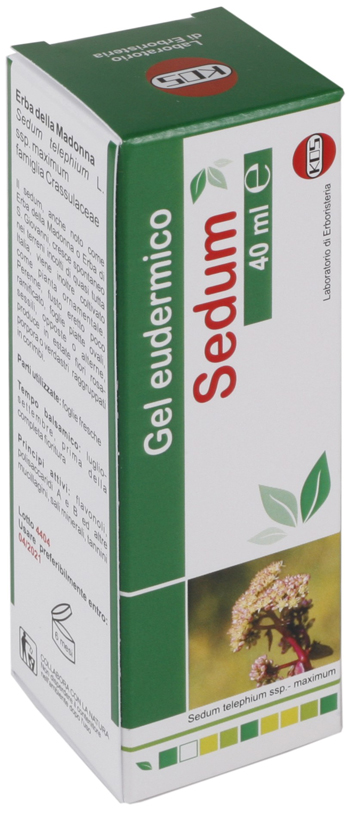 SEDUM GEL EUDERMICO 40 ML - Farmacia Artemisia di Montecuollo Dott. Angelo snc