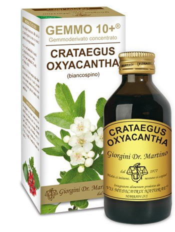 GEMMO 10+ BIANCOSPINO LIQUIDO ANALCOLICO 100 ML - Farmacia Artemisia di Montecuollo Dott. Angelo snc