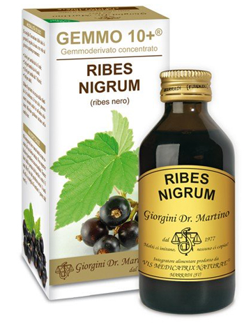 GEMMO 10+ RIBES NERO 100 ML LIQUIDO ANALCOLICO - Farmacia Artemisia di Montecuollo Dott. Angelo snc