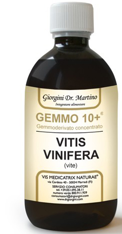 GEMMO 10+ VITE LIQUIDO ANALCOLICO 100 ML - Farmacia Artemisia di Montecuollo Dott. Angelo snc