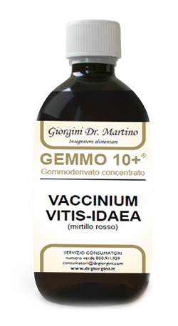 GEMMO 10+ MIRTILLO ROSSO LIQUIDO ANALCOLICO 500 ML - Farmacia Artemisia di Montecuollo Dott. Angelo snc