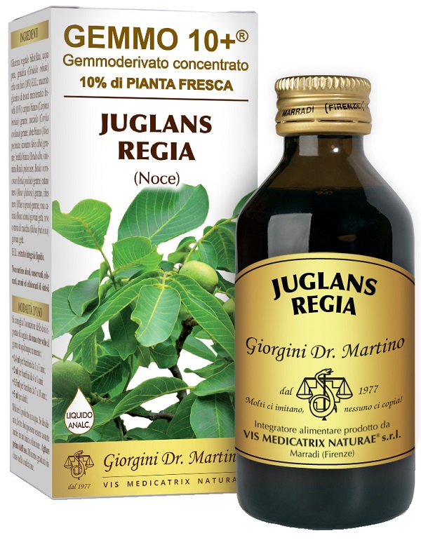 GEMMO 10+ NOCE 100 ML LIQUIDO ANALCOLICO - Farmacia Artemisia di Montecuollo Dott. Angelo snc
