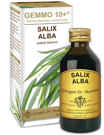 GEMMO 10+ SALICE BIANCO 100 ML LIQUIDO ANALCOLICO - Farmacia Artemisia di Montecuollo Dott. Angelo snc