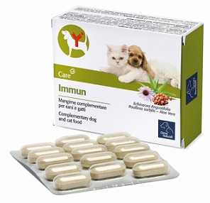 IMMUN 60 COMPRESSE - Farmacia Artemisia di Montecuollo Dott. Angelo snc