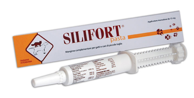 SILIFORT PASTA OS SIRINGA 30 G - Farmacia Artemisia di Montecuollo Dott. Angelo snc