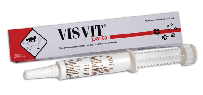 VISVIT PASTA OS SIRINGA 15 G - Farmacia Artemisia di Montecuollo Dott. Angelo snc