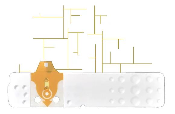 STRISCE MISURAZIONE GLICEMIA LINEA D ORO 25 PEZZI - Farmacia Artemisia di Montecuollo Dott. Angelo snc