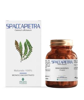 SPACCAPIETRA 50 CAPSULE - Farmacia Artemisia di Montecuollo Dott. Angelo snc