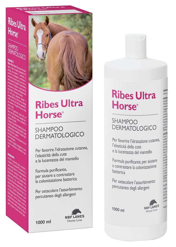 RIBES HORSE ULTRA SHAMPOO DERMATOLOGICO 1 LITRO - Farmacia Artemisia di Montecuollo Dott. Angelo snc