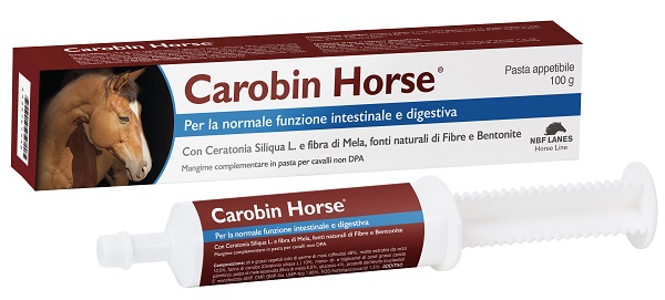 CAROBIN HORSE PASTA APPETIBILE SIRINGA 100 G - Farmacia Artemisia di Montecuollo Dott. Angelo snc