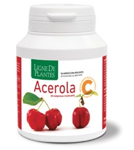 ACEROLA BIO 60 COMPRESSE MASTICABILI 54 G - Farmacia Artemisia di Montecuollo Dott. Angelo snc