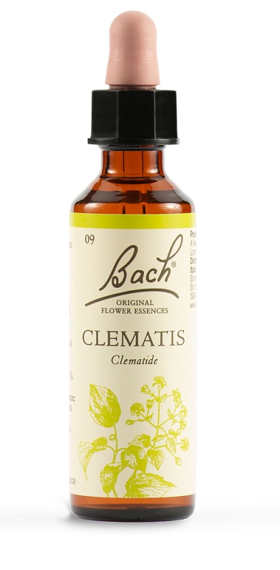 CLEMATIS BACH ORIG 20 ML - Farmacia Artemisia di Montecuollo Dott. Angelo snc