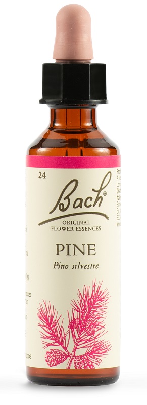 PINE BACH ORIG 20 ML - Farmacia Artemisia di Montecuollo Dott. Angelo snc