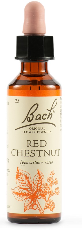 RED CHESTNUT BACH ORIG 20 ML - Farmacia Artemisia di Montecuollo Dott. Angelo snc