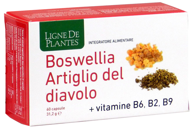 BOSWELLIA ARTIGLIO DIAVOLO VITAMINE B2 B6 B9 60 CAPSULE - Farmacia Artemisia di Montecuollo Dott. Angelo snc