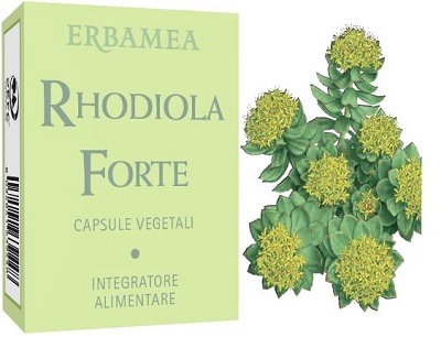 RHODIOLA FORTE 24 CAPSULE - Farmacia Artemisia di Montecuollo Dott. Angelo snc