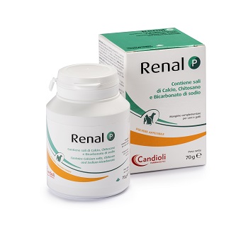 RENAL P MANGIME COMPLEMENTARE PER CANI E GATTI BARATTOLO 70 G - Farmacia Artemisia di Montecuollo Dott. Angelo snc