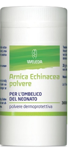 ARNICA ECHINACEA POLVERE PER USO ESTERNO 20 G - Farmacia Artemisia di Montecuollo Dott. Angelo snc