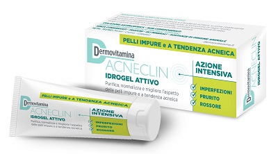 DERMOVITAMINA ACNECLIN IDROGEL ATTIVO AZIONE INTENSIVA 40 ML - Farmacia Artemisia di Montecuollo Dott. Angelo snc