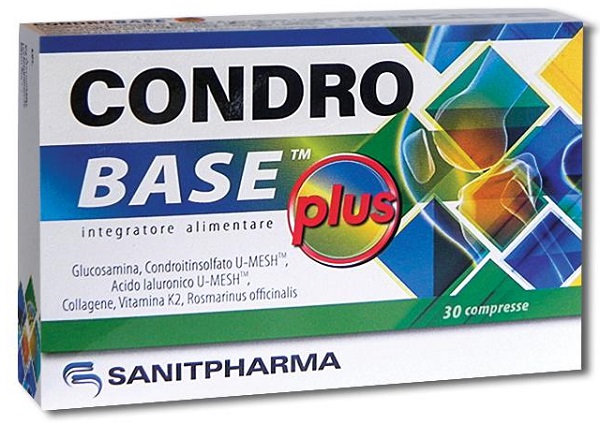 CONDROBASE PLUS 30 COMPRESSE DA 1100 MG - Farmacia Artemisia di Montecuollo Dott. Angelo snc