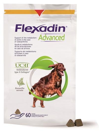 FLEXADIN ADVANCED CANE TUTTE LE TAGLIE 60 TAVOLETTE APPETIBILI - Farmacia Artemisia di Montecuollo Dott. Angelo snc
