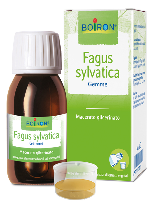FAGUS SYLVATICA BOIRON MACERATO GLICERICO 60 ML - Farmacia Artemisia di Montecuollo Dott. Angelo snc