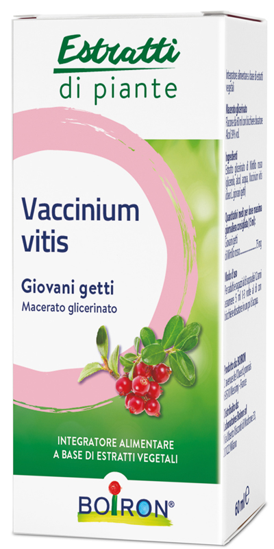VACCINIUM VITIS MACERATO GLICERICO 60 ML - Farmacia Artemisia di Montecuollo Dott. Angelo snc