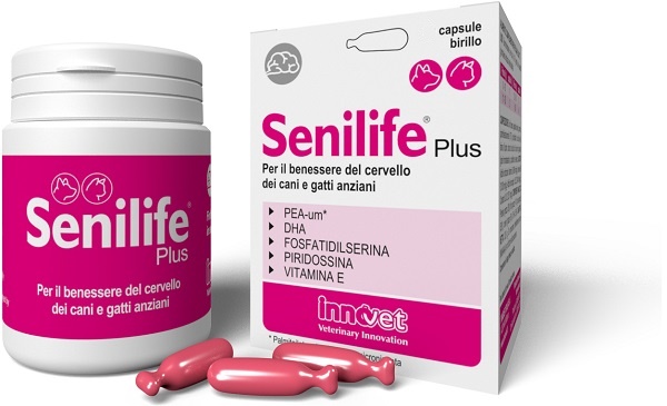 SENILIFE PLUS 30 CAPSULE - Farmacia Artemisia di Montecuollo Dott. Angelo snc