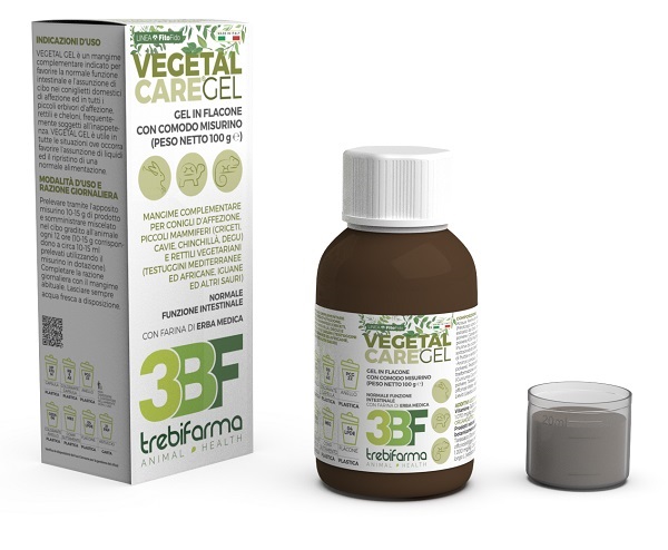 VEGETAL CARE GEL FLACONE 100 G - Farmacia Artemisia di Montecuollo Dott. Angelo snc